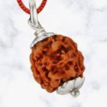 3 Mukhi Rudraksha