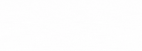 VedVishwa Logo (512 x 200 px) (500 x 180 px)